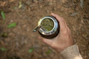 The History of Yerba Mate